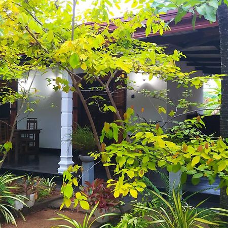 Yashi'S Place Sigiriya Dış mekan fotoğraf