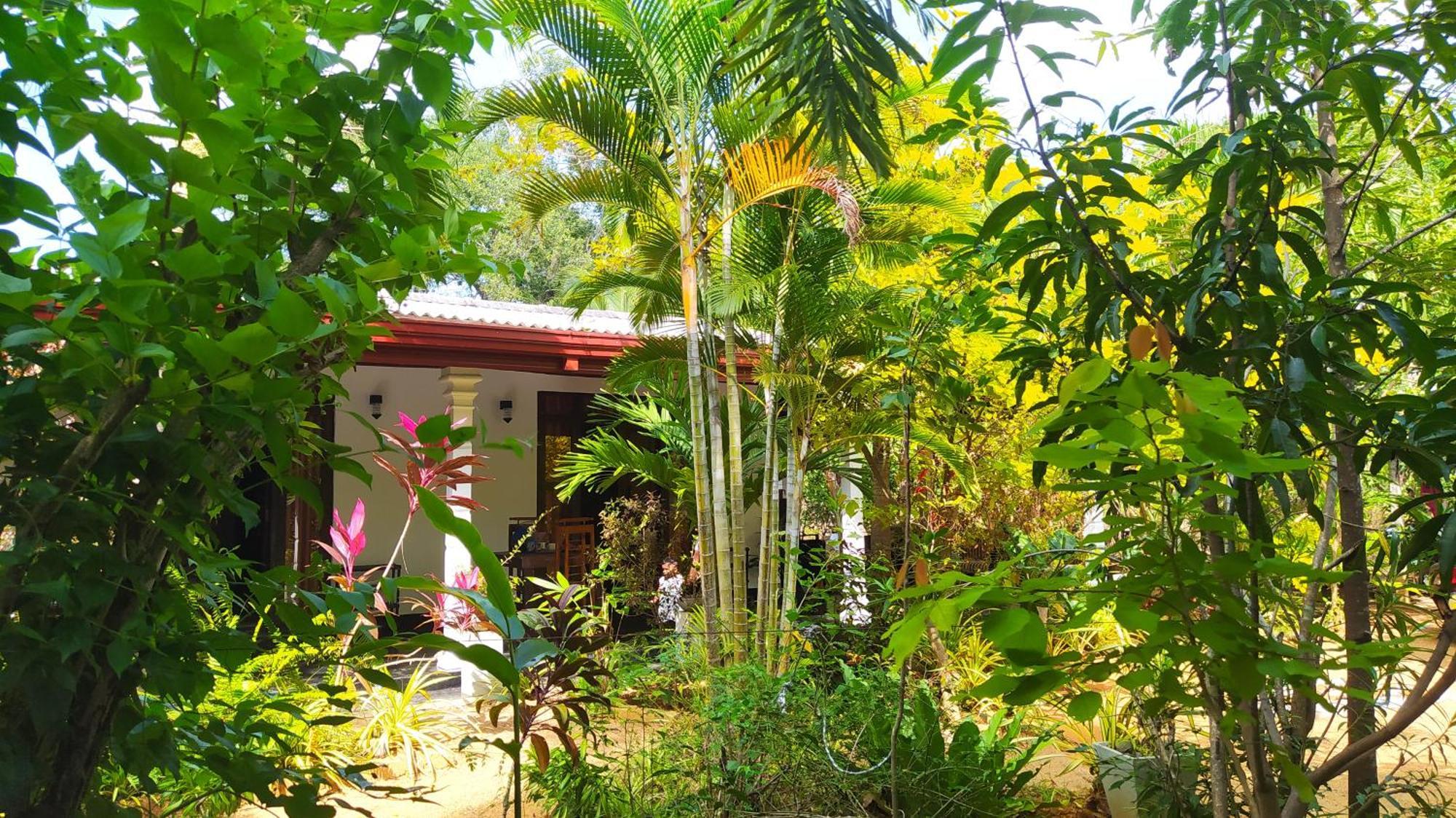 Yashi'S Place Sigiriya Dış mekan fotoğraf