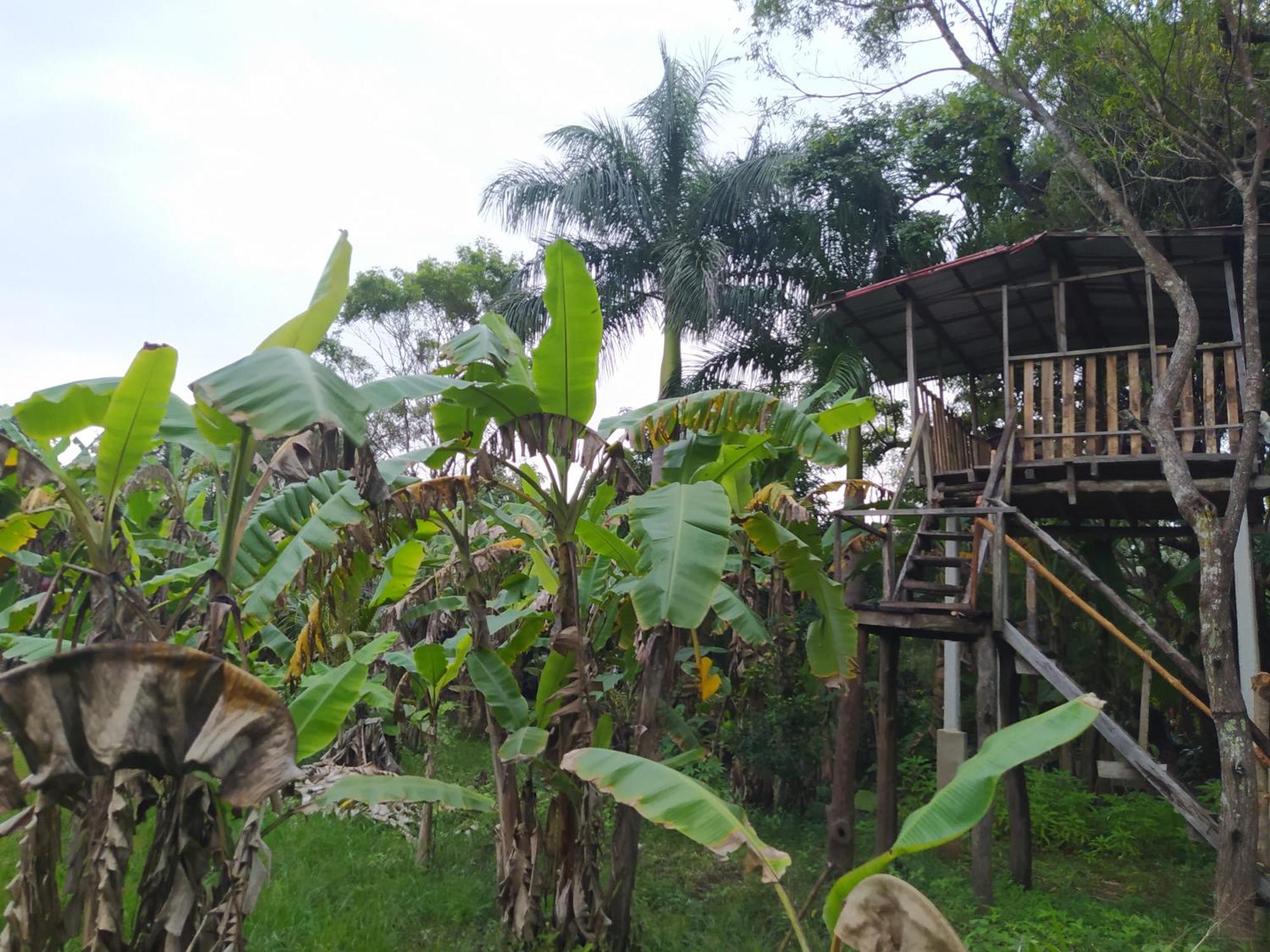 Yashi'S Place Sigiriya Dış mekan fotoğraf