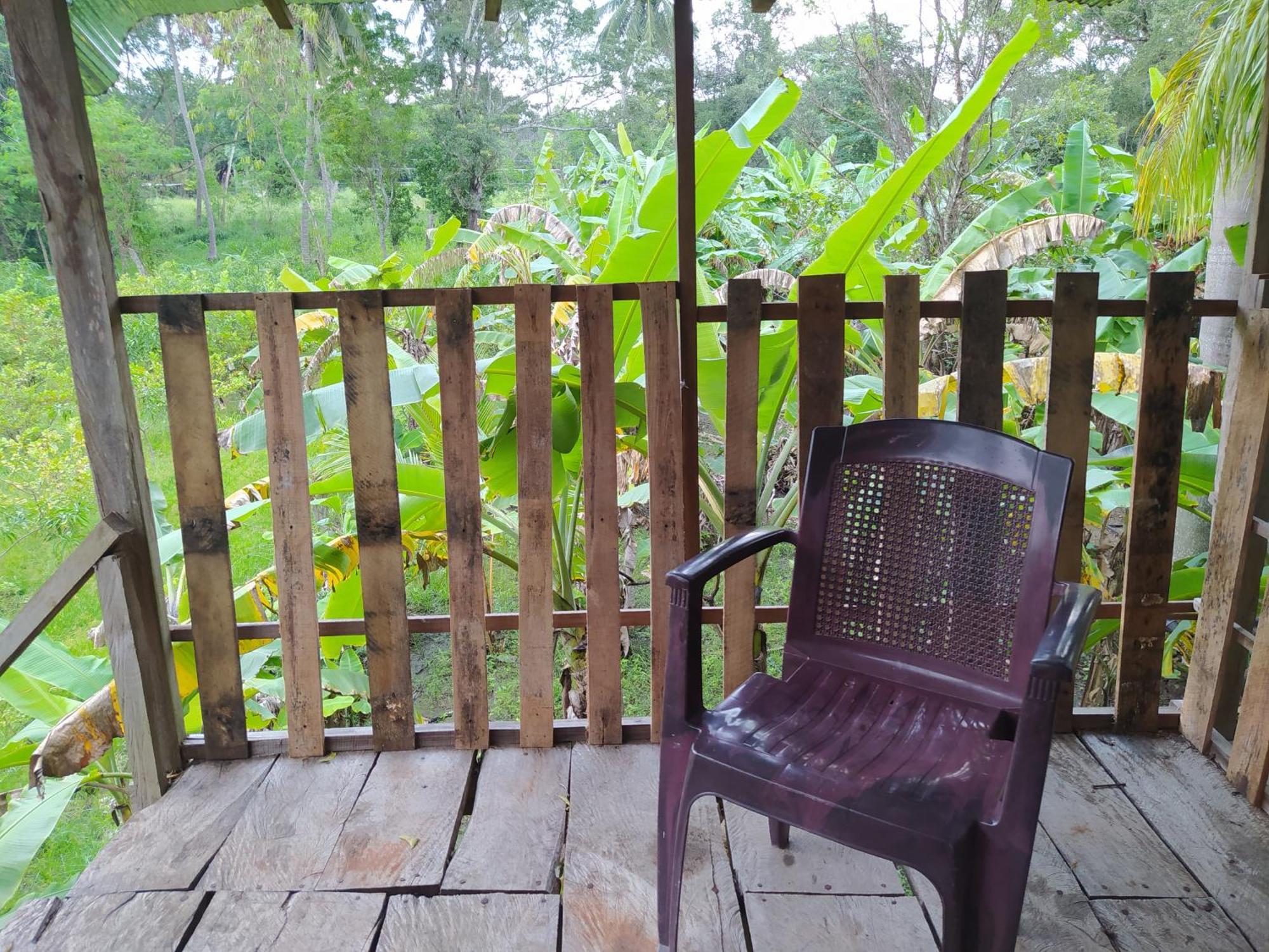 Yashi'S Place Sigiriya Dış mekan fotoğraf