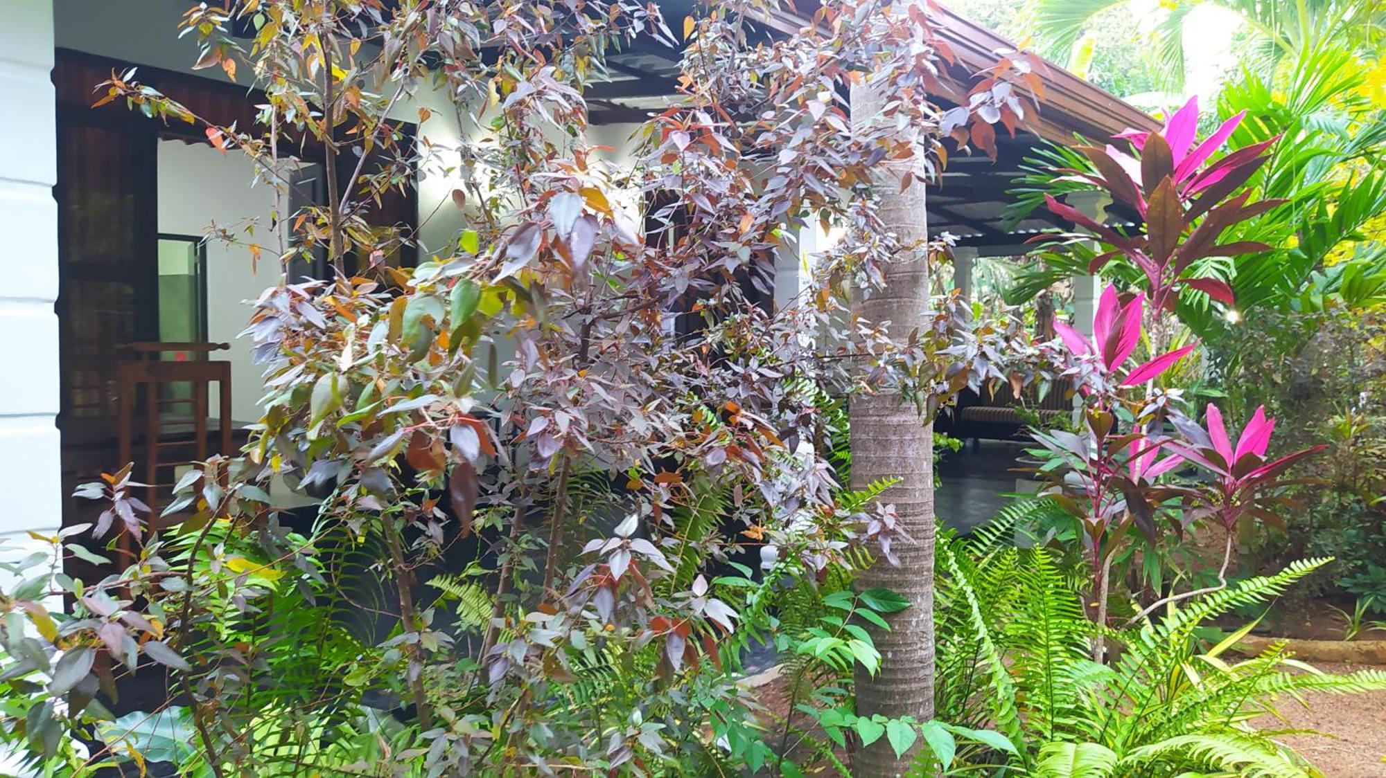 Yashi'S Place Sigiriya Dış mekan fotoğraf