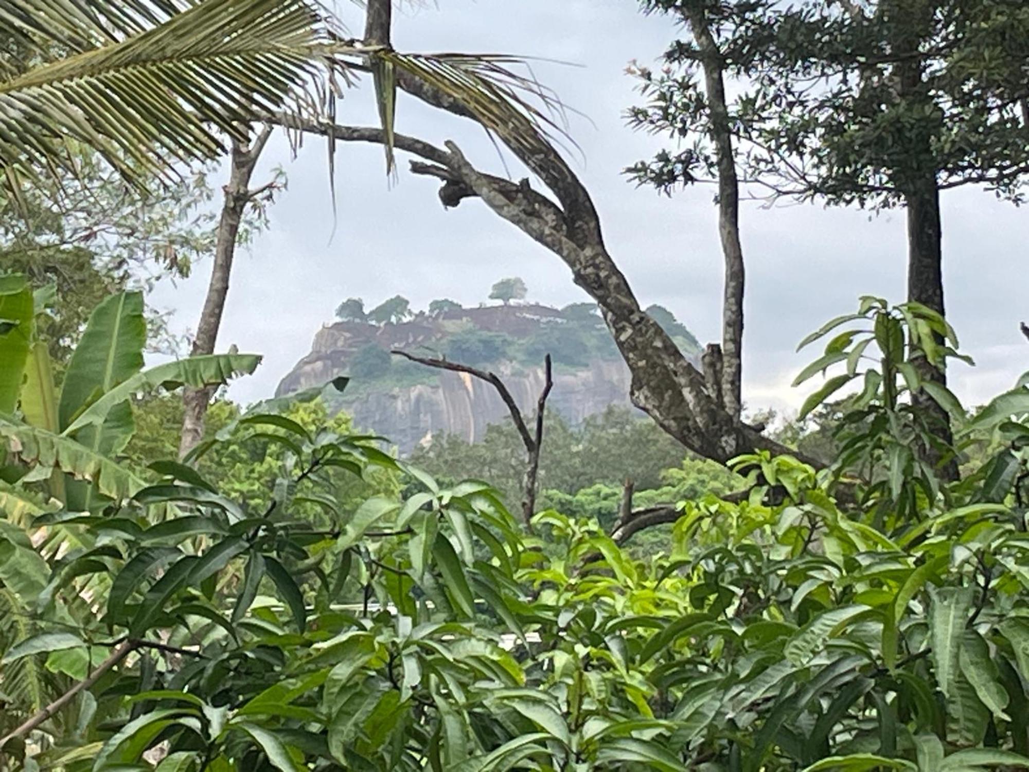 Yashi'S Place Sigiriya Dış mekan fotoğraf