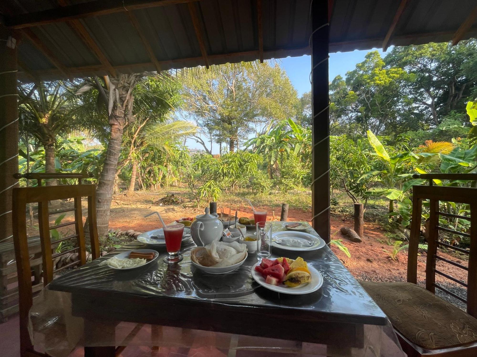 Yashi'S Place Sigiriya Dış mekan fotoğraf